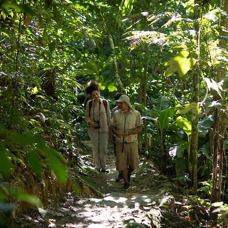 Pumarinri Amazon Lodge Tarapoto Exterior foto