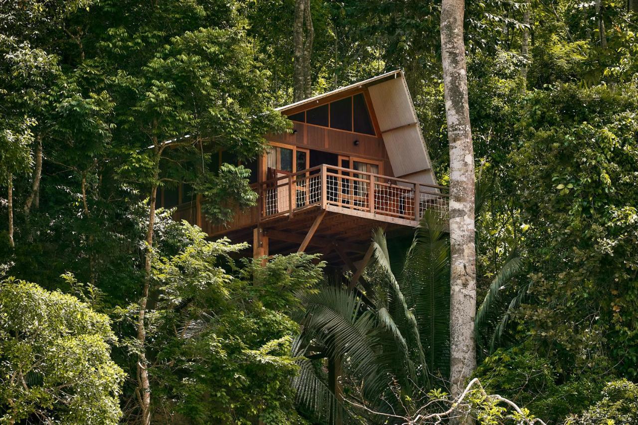 Pumarinri Amazon Lodge Tarapoto Exterior foto
