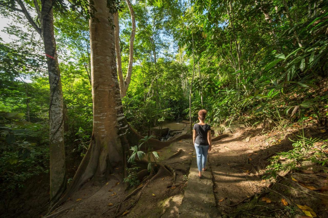 Pumarinri Amazon Lodge Tarapoto Exterior foto