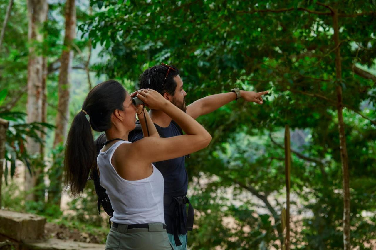 Pumarinri Amazon Lodge Tarapoto Exterior foto