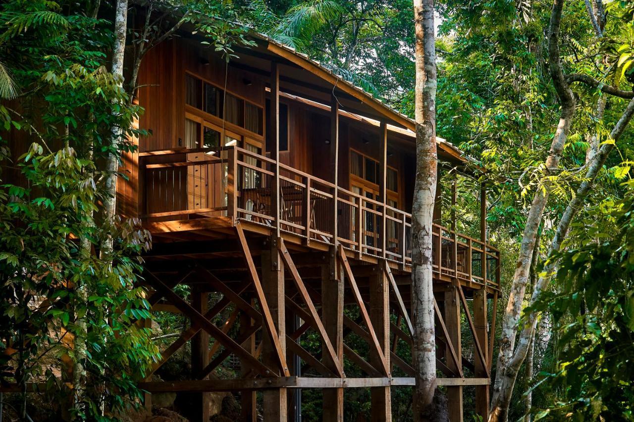 Pumarinri Amazon Lodge Tarapoto Exterior foto