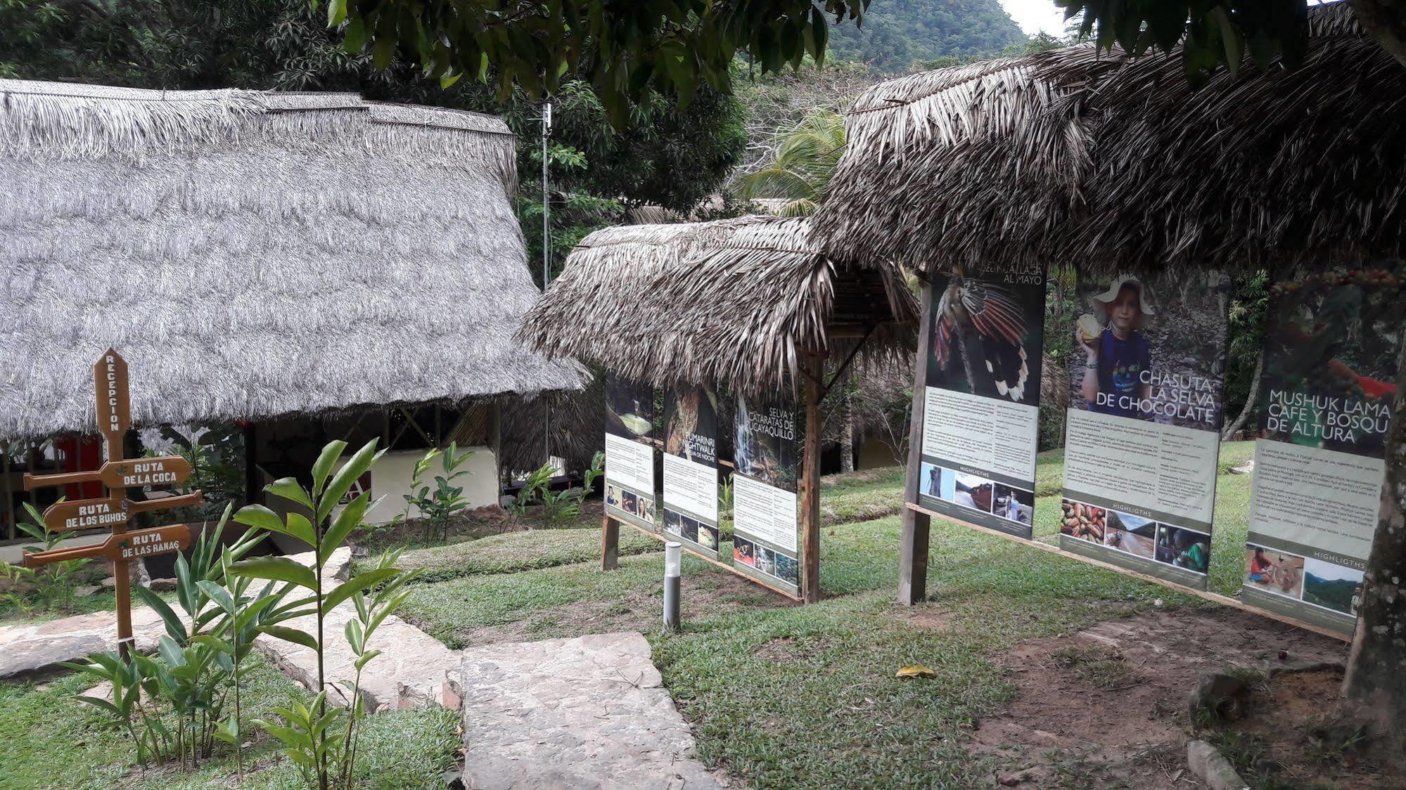 Pumarinri Amazon Lodge Tarapoto Exterior foto